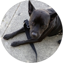 Richard Livston profile picture